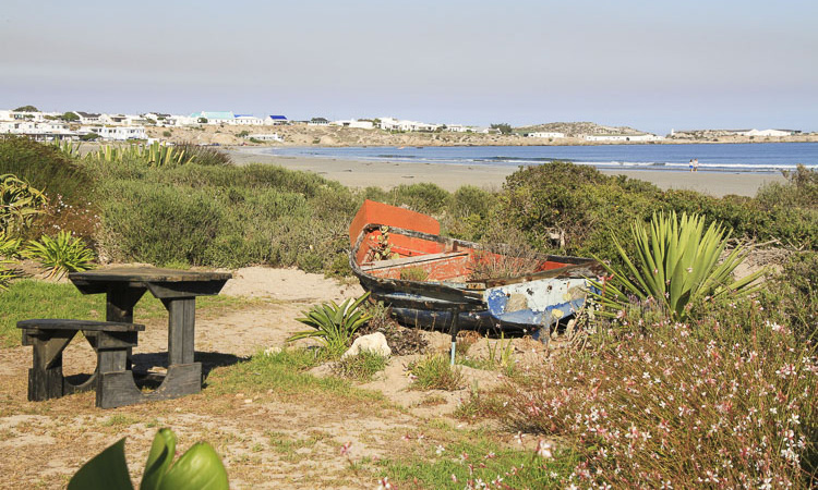 Buffalo Thorn Lodge